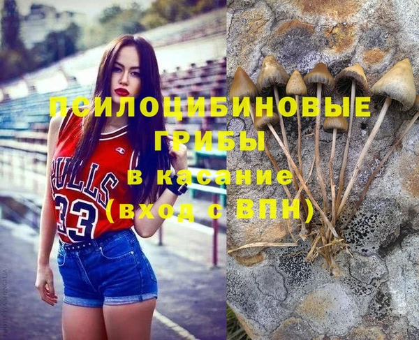 мяу мяу кристалл Ельня