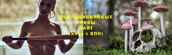 первитин Елабуга
