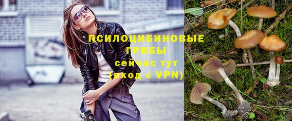 первитин Елабуга