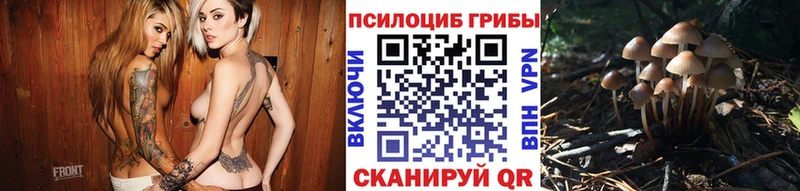 Псилоцибиновые грибы Psilocybine cubensis  Купить закладки  Сычёвка 